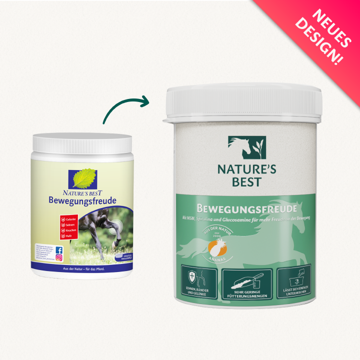 NATURE'S BEST Bewegungsfreude 600 g - MSM - radość z ruchu