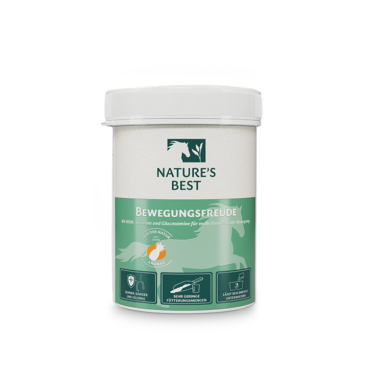 NATURE'S BEST Bewegungsfreude 600 g - MSM - radość z ruchu - obrazek 2