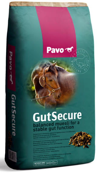 PAVO GutSecure 15 kg - Musli na przewlekłe zaburzenia trawienne w jelicie grubym