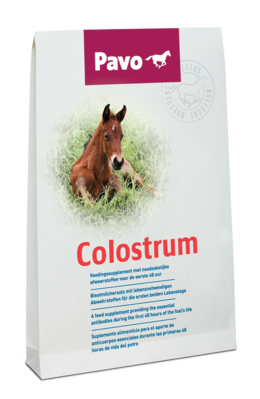 PAVO Colostrum 150 g - Zastępcza siara dla źrebiąt
