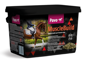 PAVO MuscleBuild 3 kg - Dla silnego i umięśnionego konia - wiadro 3 kg