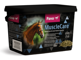 PAVO MuscleCare 3 kg - Wsparcie i regeneracja mięśni – odkwaszacz