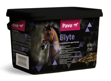 PAVO E'lyte 3 kg - Elektrolity