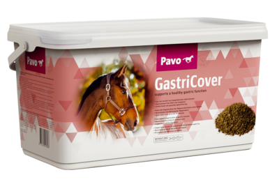 Pavo GastriCover