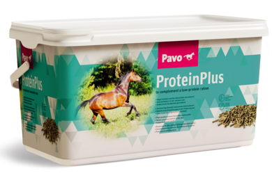 PAVO ProteinPlus 7 kg - Wysoce skoncentrowany dodatek białkowy