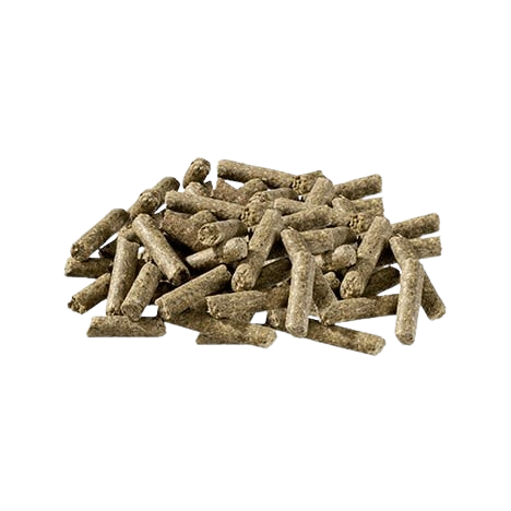 PAVO Podo Start 20 kg - Drobny granulat dla źrebiąt od 3 miesiąca życia - obrazek 2