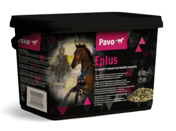 Pavo Eplus 3kg