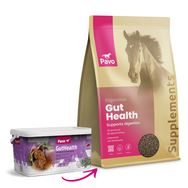 PAVO Pavo GutHealth 4,5 kg - Zdrowe jelita
